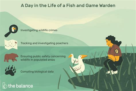 Fish and Game Warden Job Description: Salary, Skills, & More.